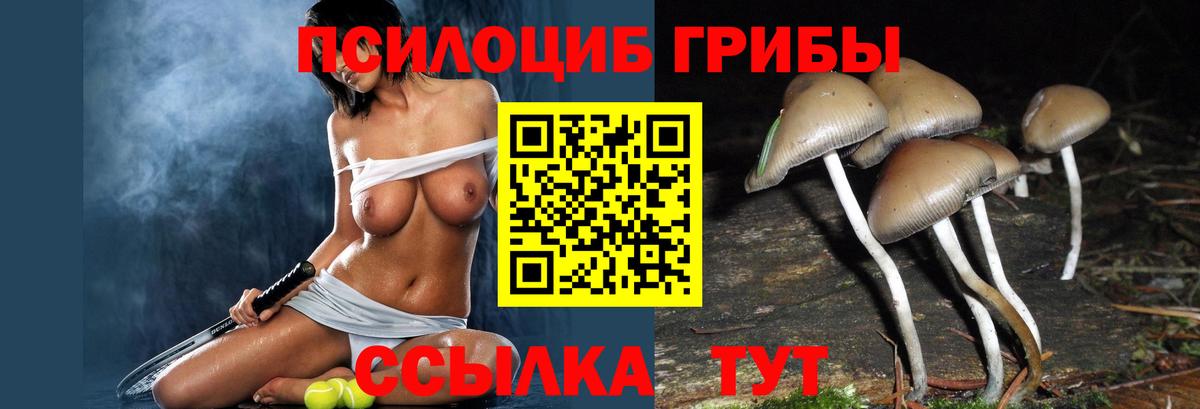 Галлюциногенные грибы мухоморы Калуга